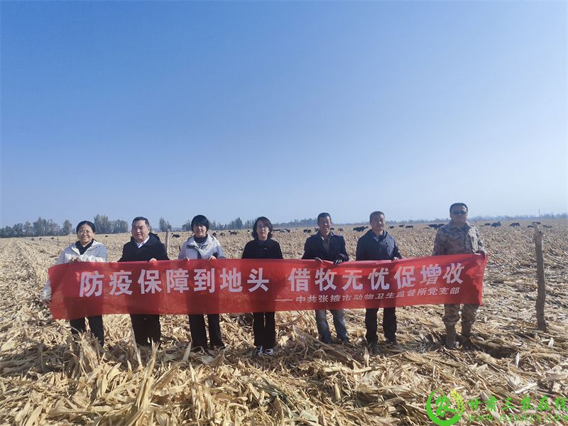 市动物卫生监督所对肃南县动物防疫工作进行督导检查.jpg
