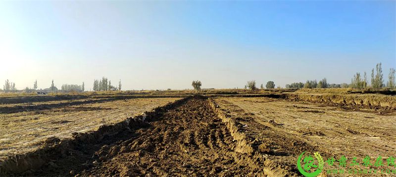 3.待平整的土地.JPG