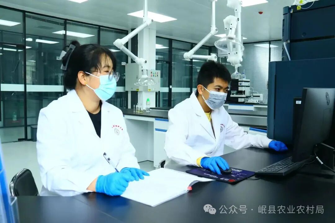 定西岷归高质量发展密码:以科研为锚,筑牢产业根基_fororder_dedf0029f359ac83302735fb737bae35