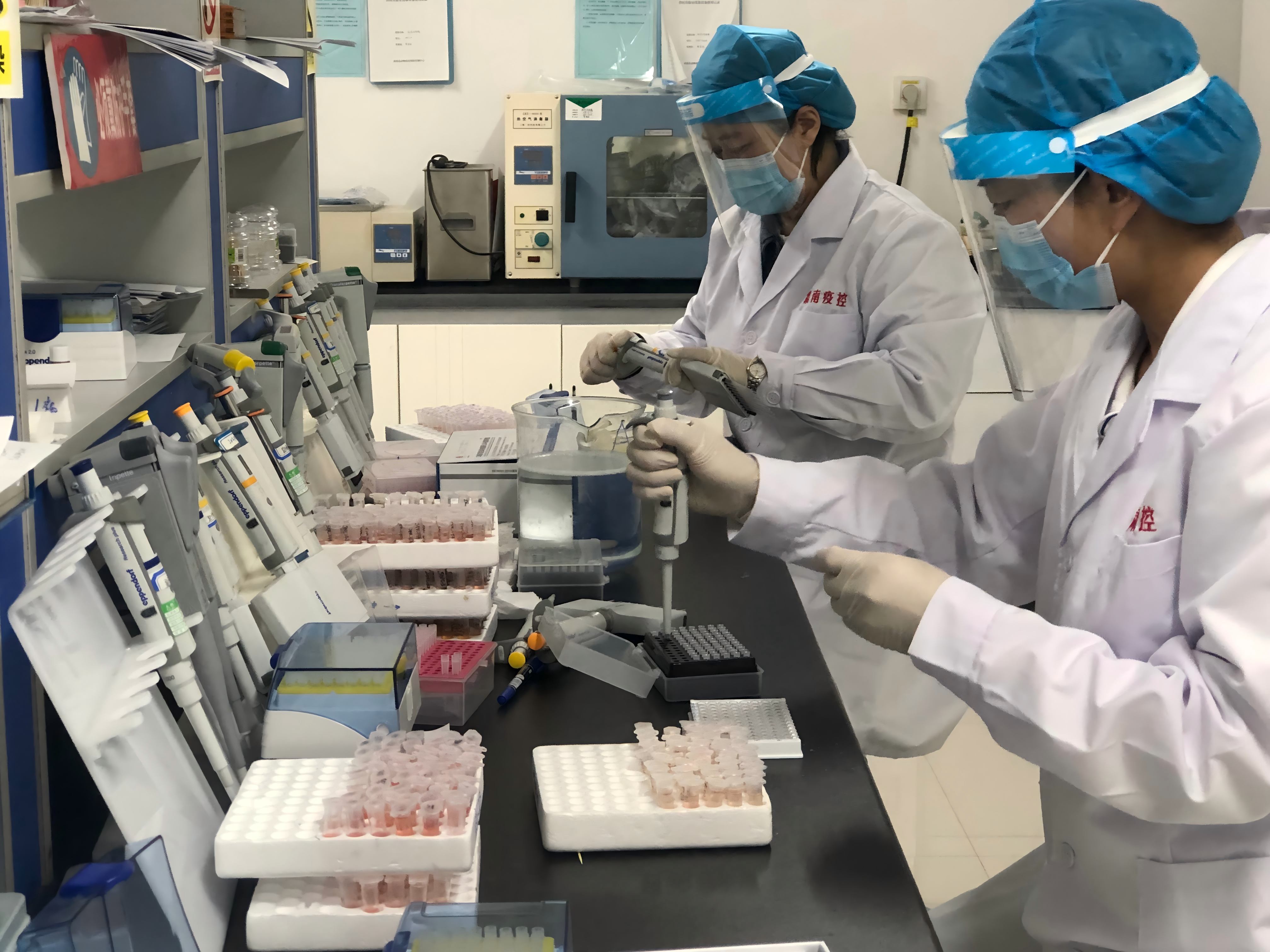 强化借牧牲畜疫病监测  护航畜牧业健康发展(1).jpg