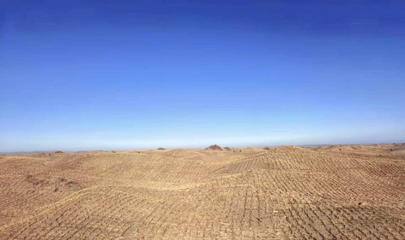 瓜州县疏勒河中下游防沙治沙林草综合治理项目现场.png