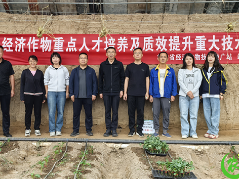 靖远县：聚焦设施农业绿色发展 赋能农技人才能力质效