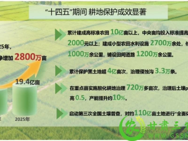 耕地保护量质双升　农业生产空间稳步拓展
