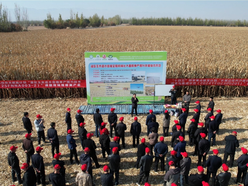 甘肃省研产融合科技攻关赋能计划“灌区玉米适水密植单