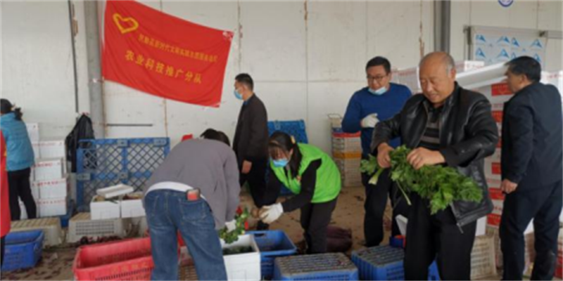 民勤县农业农村局为抗疫全力251.png