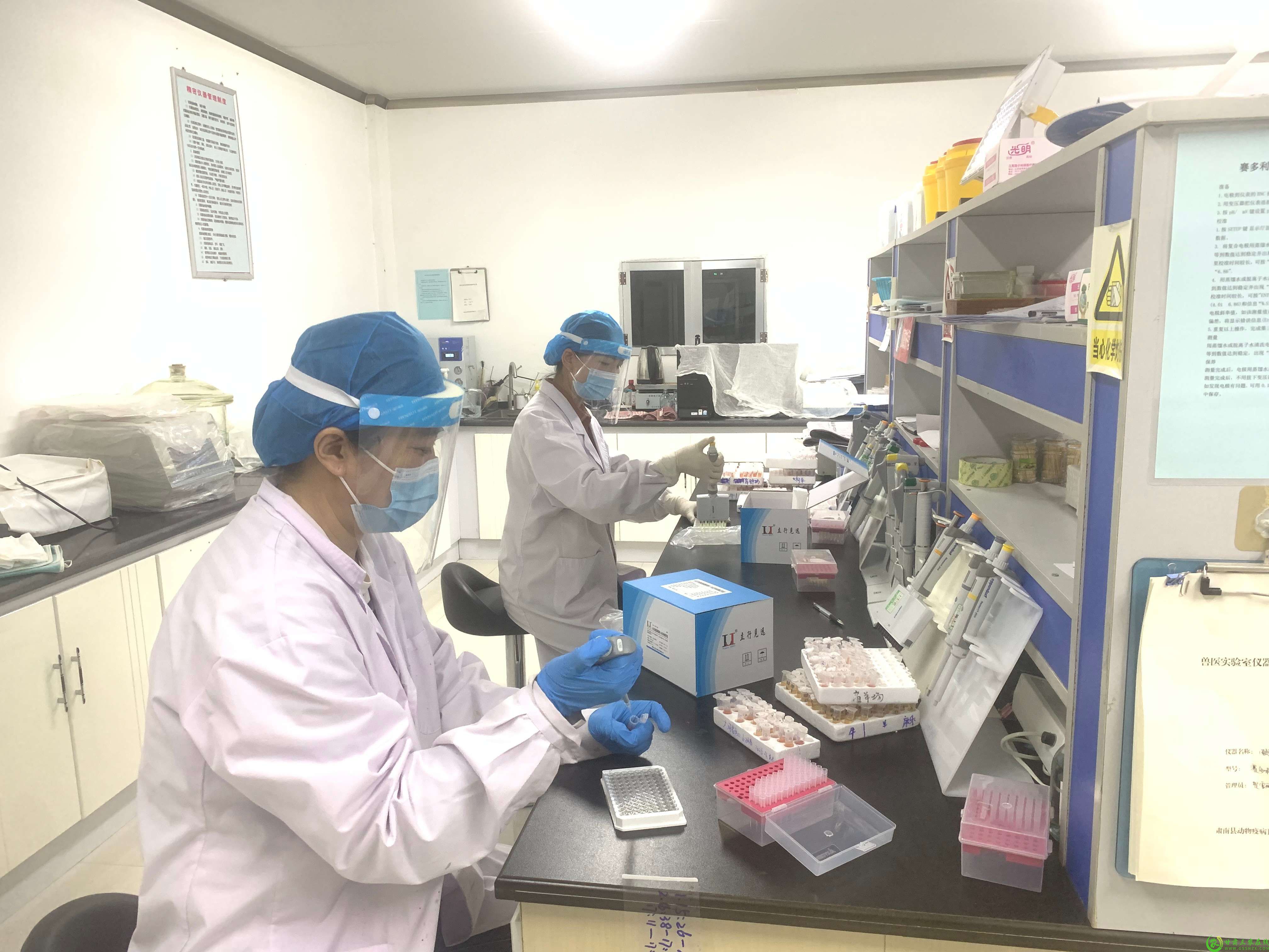 扎实开展春防免疫抗体监测，科学评估免疫成效(1).jpg