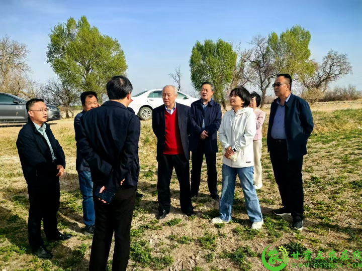 图片5(1).png