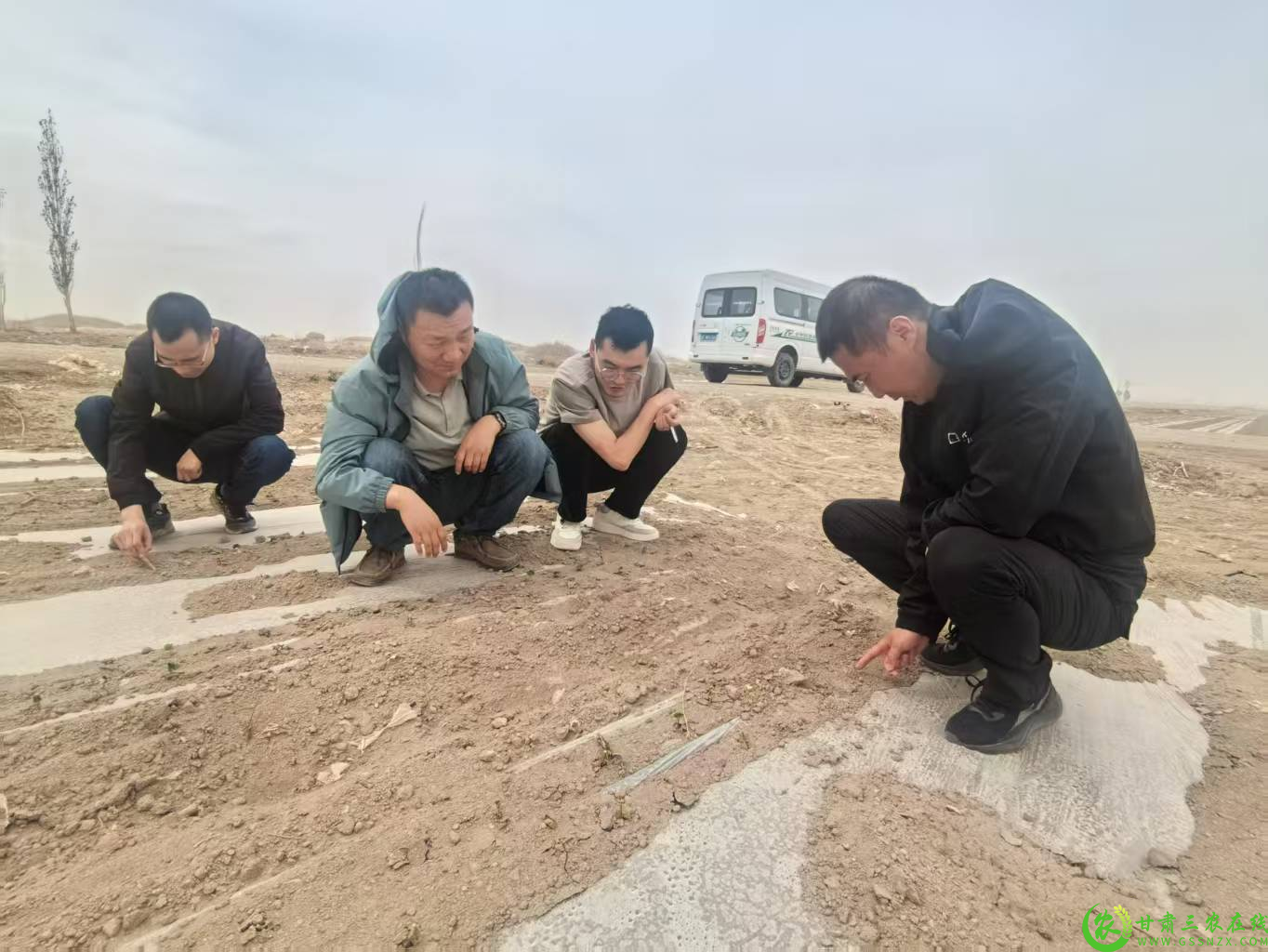 图片7.png