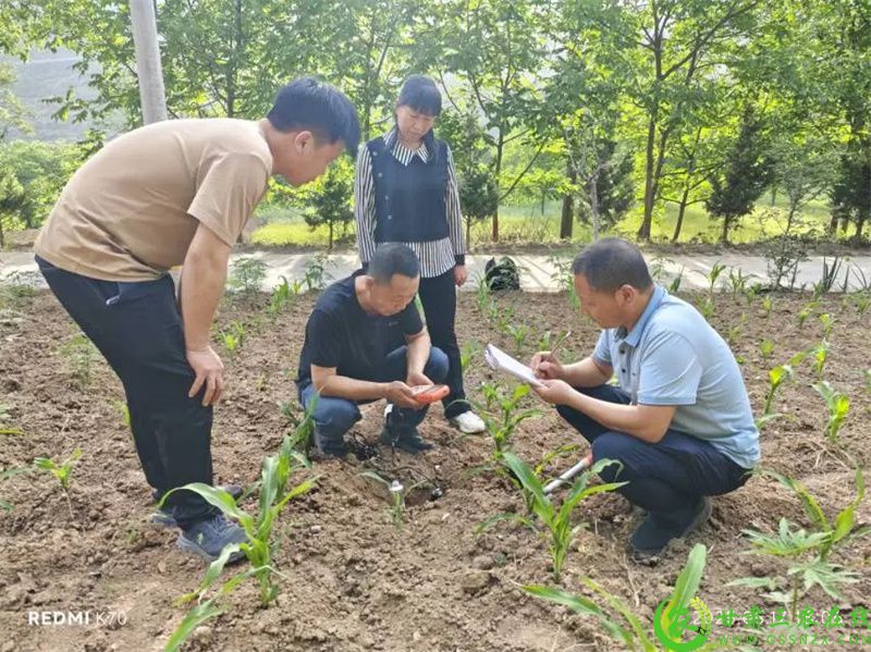微信图片_20250518172357.jpg