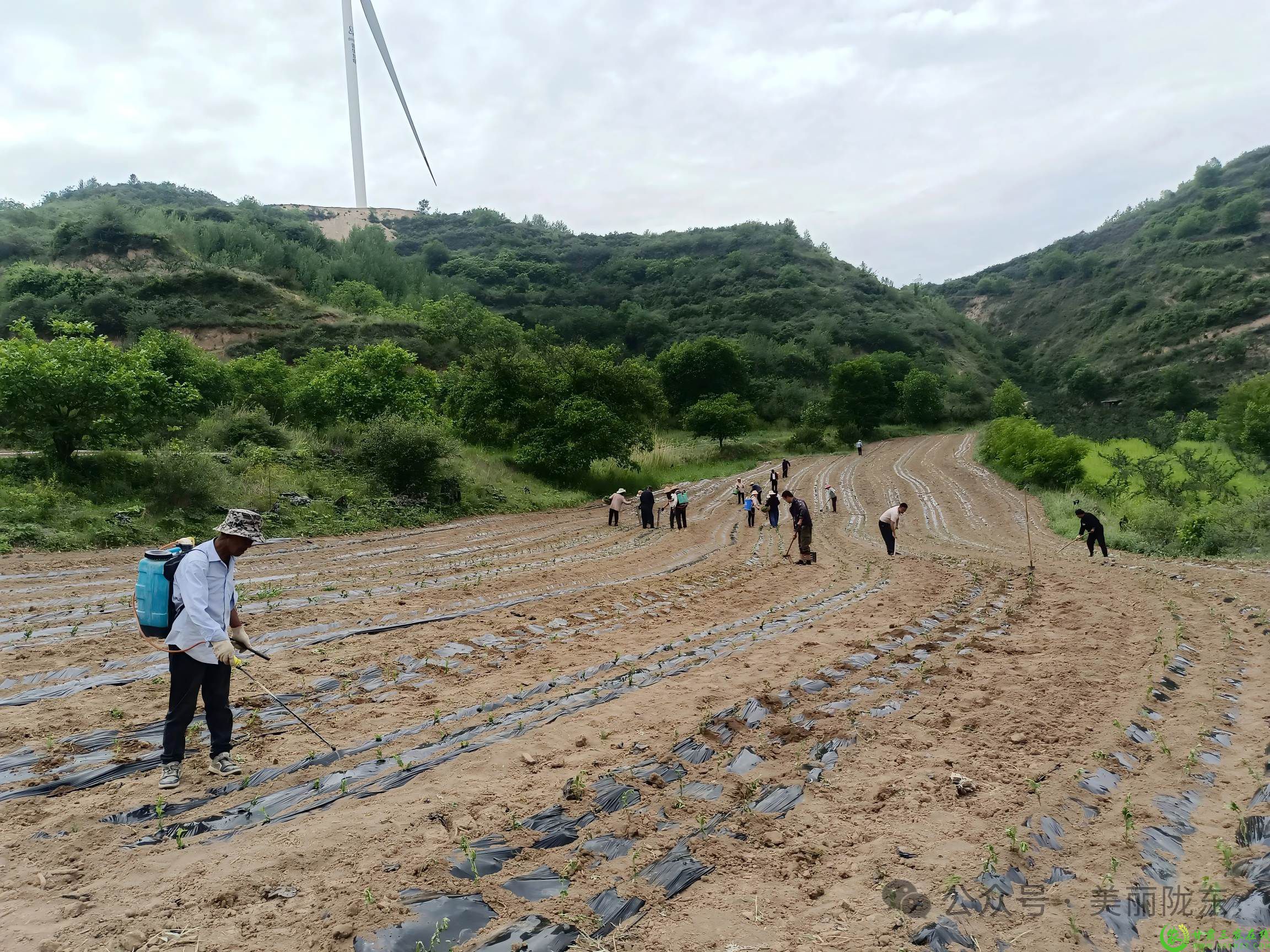 微信图片_20250611163610(1).jpg