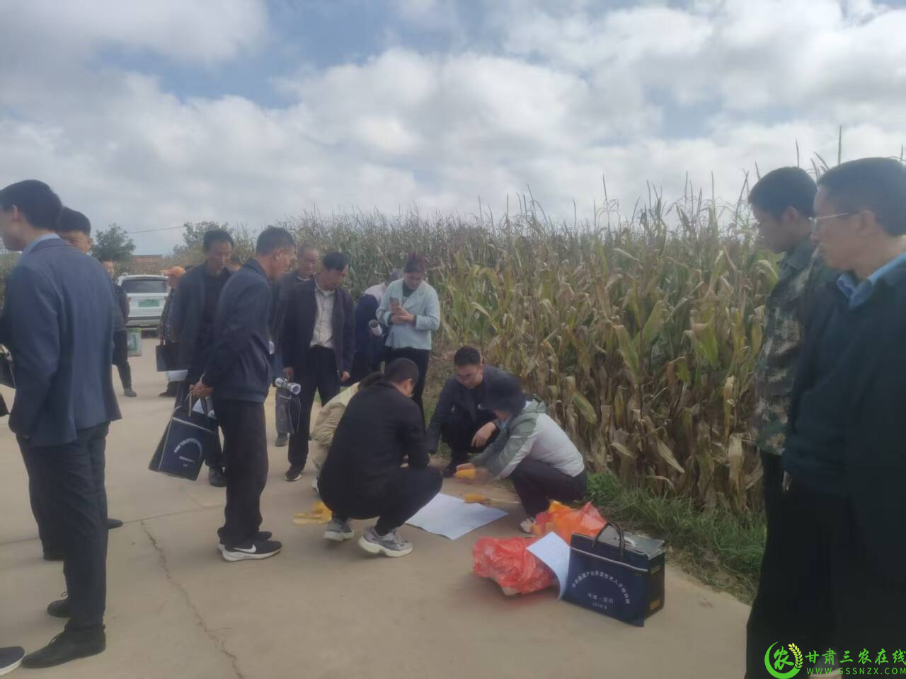 图片1.png